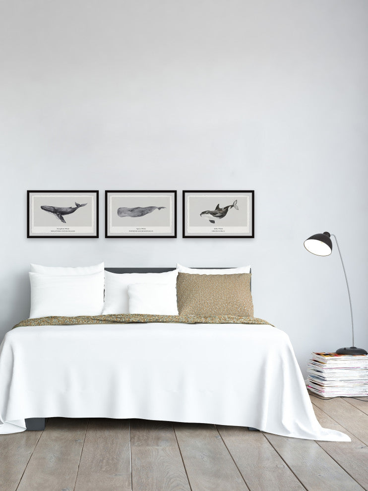 Sperm and Killer Whale Triptych, 3-Piece Set, 45x30 Panels