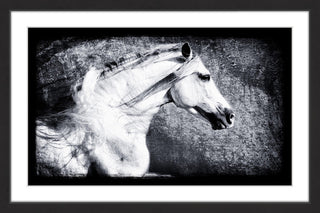 "Andalusian" Framed Painting Print, 30x20