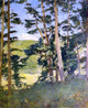 Emil Carlsen A Clearing Beyond the Trees, Gallery Wrapped Canvas, 20"x25"