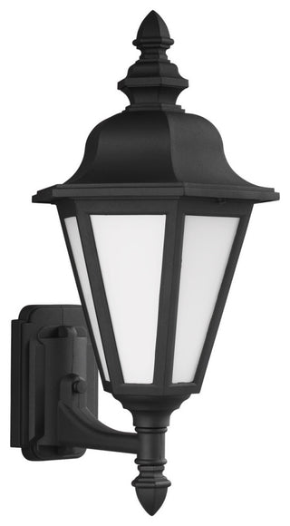 Brentwood 1-Light Outdoor Wall Lantern, Black