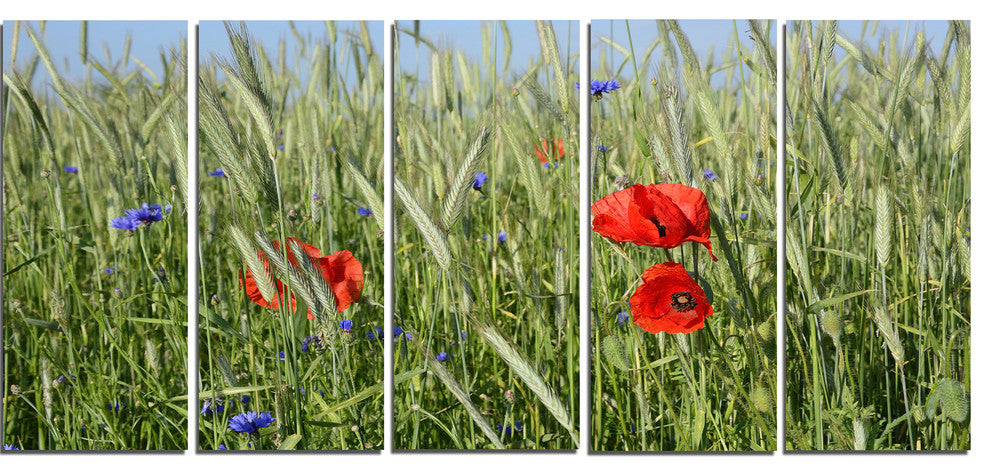 Rural Landscape with Red Poppies, Large Landscape Canvas Art, 60"x28", 5 Panels
