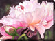 Majesty Outdoor Art