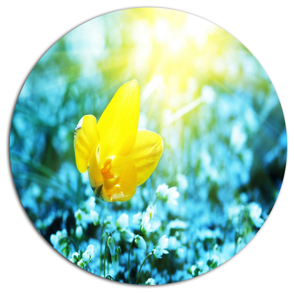 Beautiful Yellow Spring Flower, Flower Large Disc Metal Wall Art, 23"