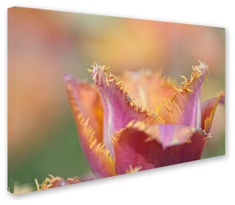 Cora Niele ''Tulip Crispa'' Canvas Art