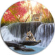 Tiger In The Jungle, Photography Round Wall Art, 11"