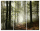 "Light in Dense Fall Forest With Fog" Wall Art, 3 Panels, 36"x28"