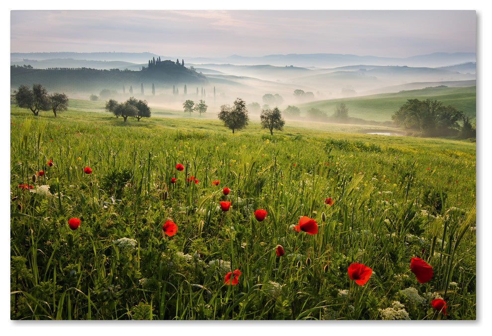 Daniel Rericha 'Tuscan Spring' Canvas Art, 47x30