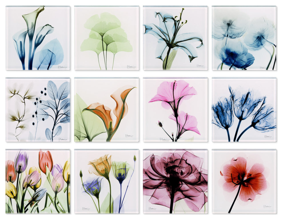 Lovely Flowers Glass Coasters With Cork Bottom, Set of 12 florals