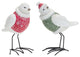Bird With Sweater, 2-Piece Set