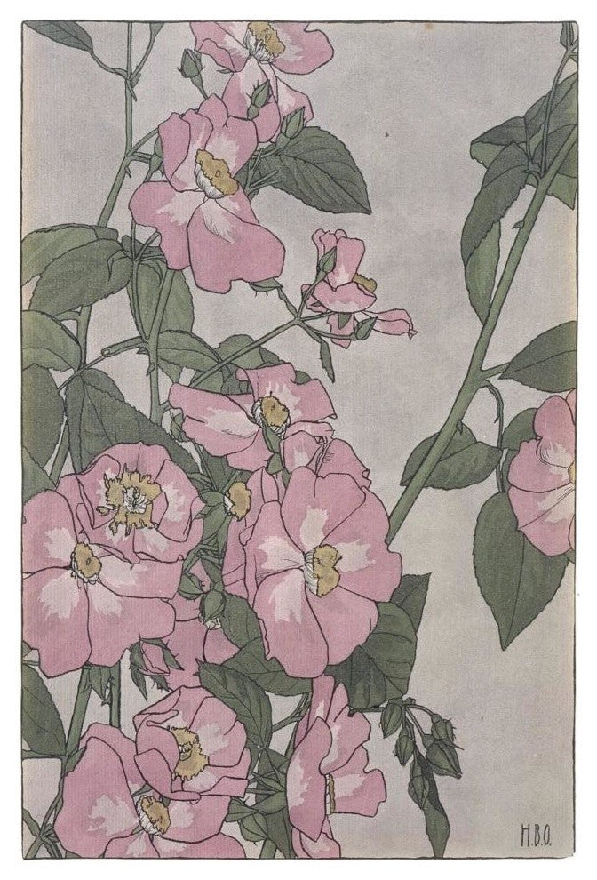 "Prairie Rose" Digital Paper Print by Hannah Borger Overbeck, 14"x20"