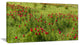 "Wild Peonies Flower in Steppe" Modern Landscape Wall Art, 32"x16"