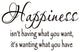 VWAQ Happiness Isn't Having What You Want, It's Wanting What You Have Wall Quote