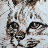 Leonardo's Dogs Maine Coon Cat Pillow
