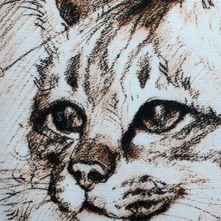 Leonardo's Dogs Maine Coon Cat Pillow