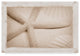 "Starfish, Shells And Sand" by Cora Niele, Canvas Art, 12"x19"