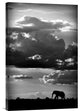 "He Walks Under An African Sky" Stretched Canvas Giclee by Wildphotoart, 16"x24"