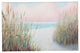 Cape Craftsmen Beach Trail Outdoor Wall Canvas