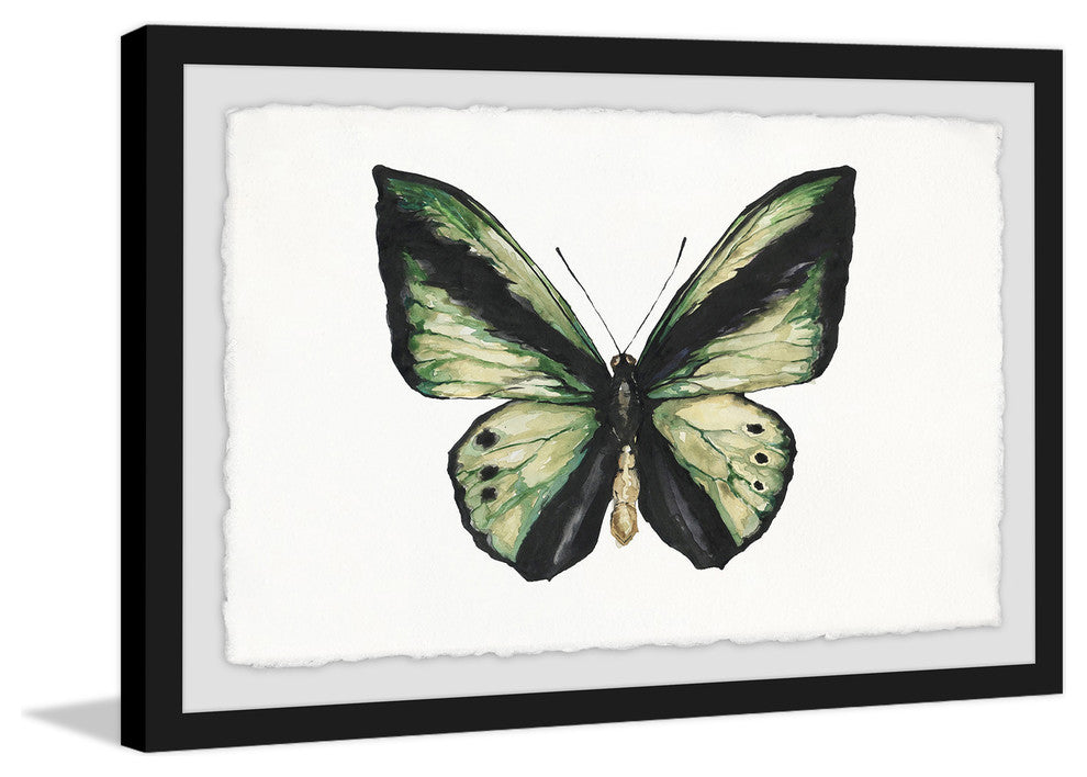 "Hunter Green Butterfly" Framed Painting Print, 30"x20"