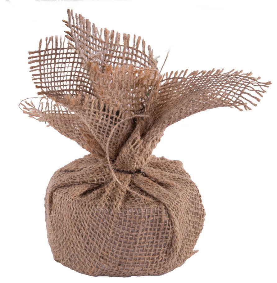 Vickerman 24" x 14" Vienna Twig Tree 320Tips - B167624