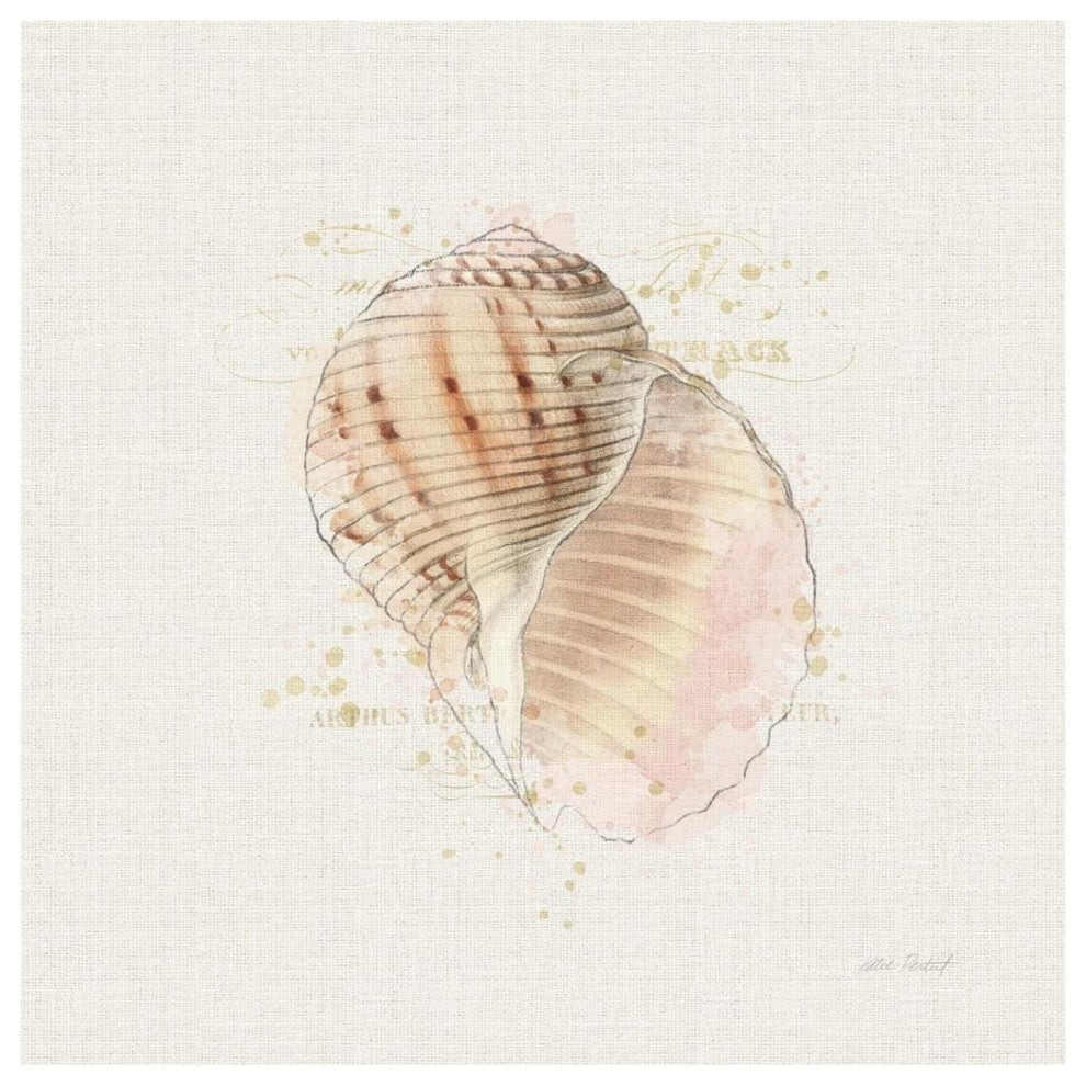 "Shell Collector V" Digital Paper Print by Katie Pertiet, 42"x42"
