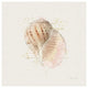 "Shell Collector V" Digital Paper Print by Katie Pertiet, 42"x42"