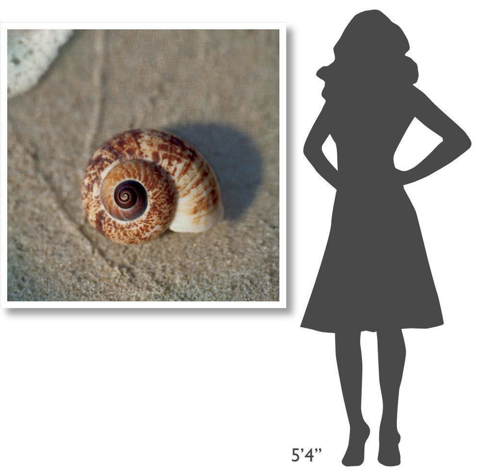 "Sand Surf Shell" Digital Paper Print by Sue Schlabach, 42"x42"