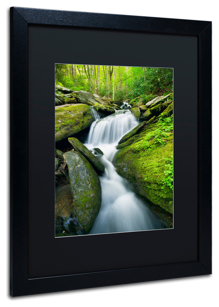 Michael Blanchette 'Cascade Mossy Rocks' Art, Black Frame, Black Mat, 20x16
