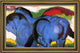 Franz Marc The Little Blue Horses - 18" x 27" Framed Premium Canvas Print