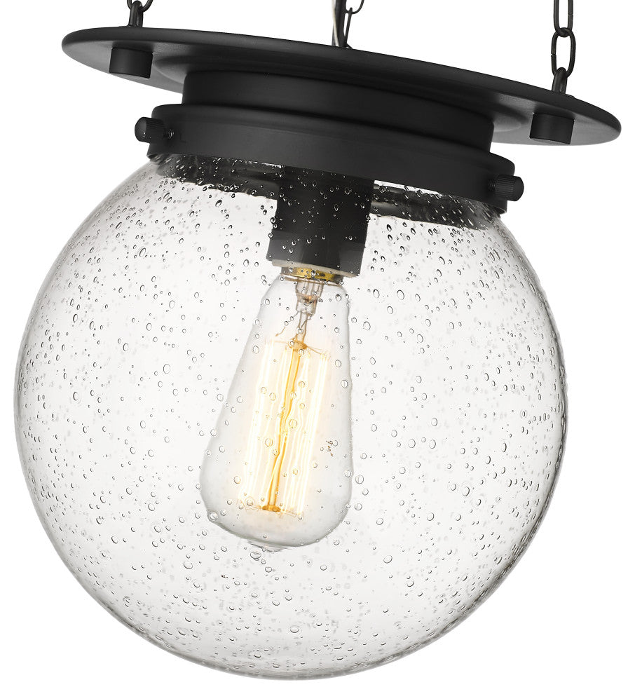 Z-LITE 1-Light Pendant, Matte black