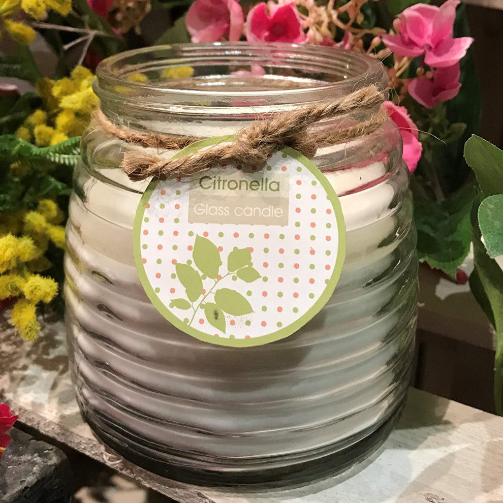 2 Piece Citronella Candle Set, Green and Clear Glass Pots