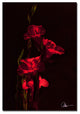 'Gladiolus X' Canvas Art by Martha Guerra