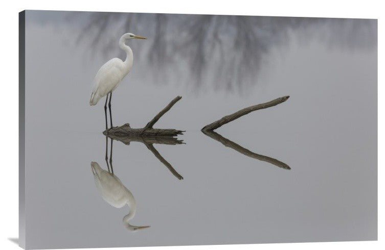 "Reflections" Stretched Canvas Giclee by Mauro Montuori, 30"x20"
