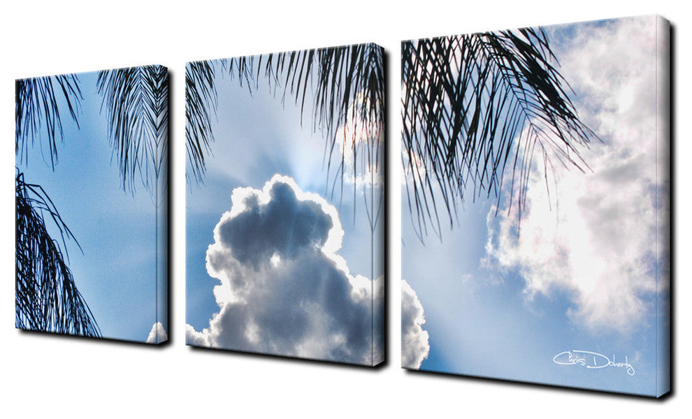 Ready2hangart Chris Doherty 'Cloudy Palms' 3-piece Canvas Wall Art