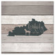 Kentucky Established 16x16 Canvas Wall Art