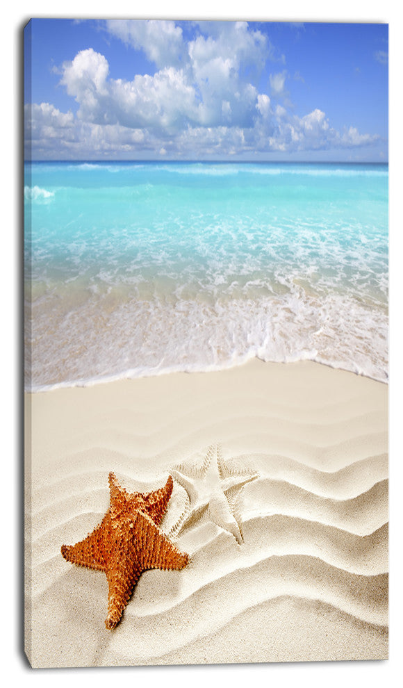 Brown Starfish on Caribbean Beach, Seascape Canvas Art Print, 16"x32"