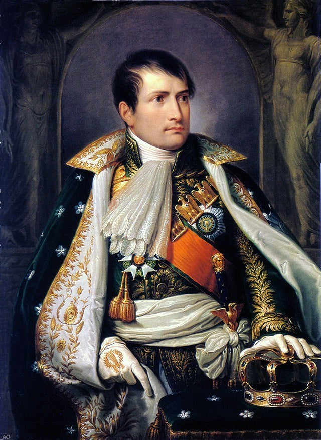 Andrea Appiani Napoleon- King of Italy, 21"x28" Wall Decal Print