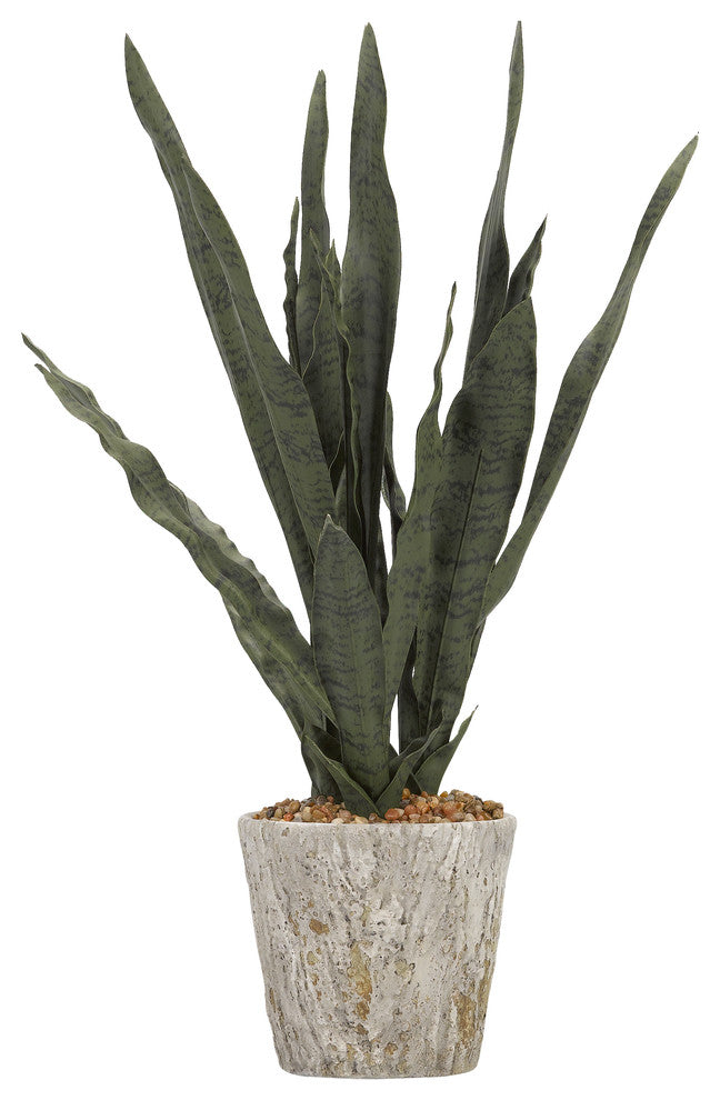 26" Dark Green Mother in Law's Tongue in Cement Oak Planter