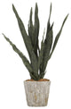26" Dark Green Mother in Law's Tongue in Cement Oak Planter