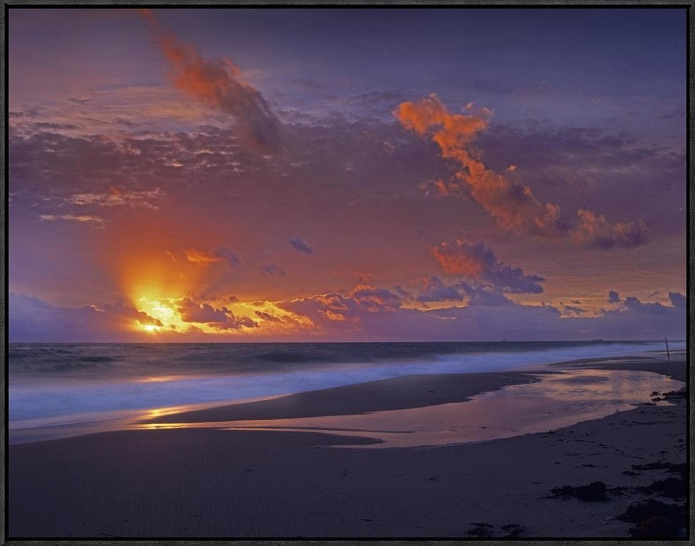 "McArthur beach at sunrise, Florida"  by Tim Fitzharris, 33x25"