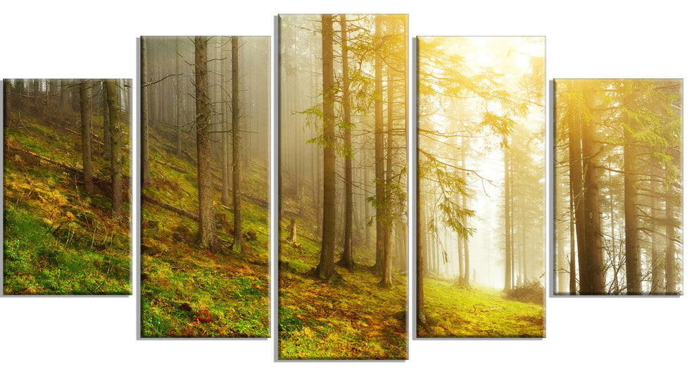 "Sun Finds its Way in Forest" Landscape Photo Canvas Print