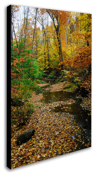 'Autumn Stream II' Canvas Art by Kurt Shaffer