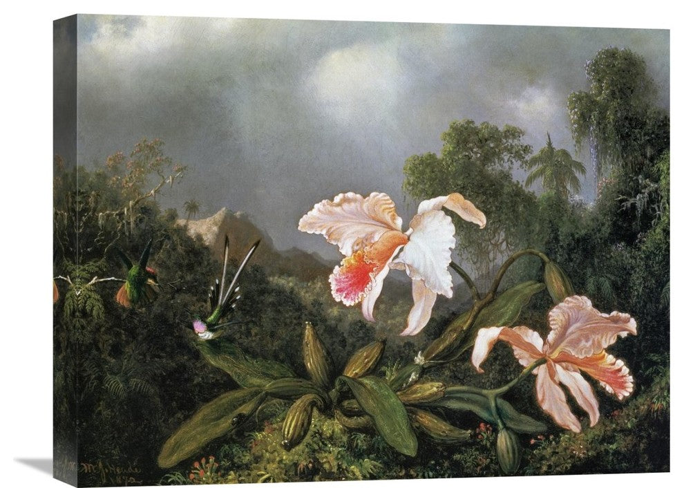"Jungle Orchids And Hummingbirds 1872" Artwork, 22"x17"