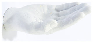 Interior Illusions Plus White Hand out wall Mount, 7.5" long