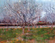 Vincent Van Gogh Orchard in Blossom