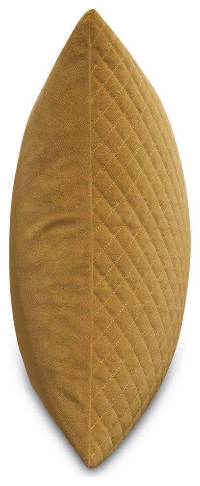 Gemma 21" Velvet Throw Pillow, Set of 2, Coin