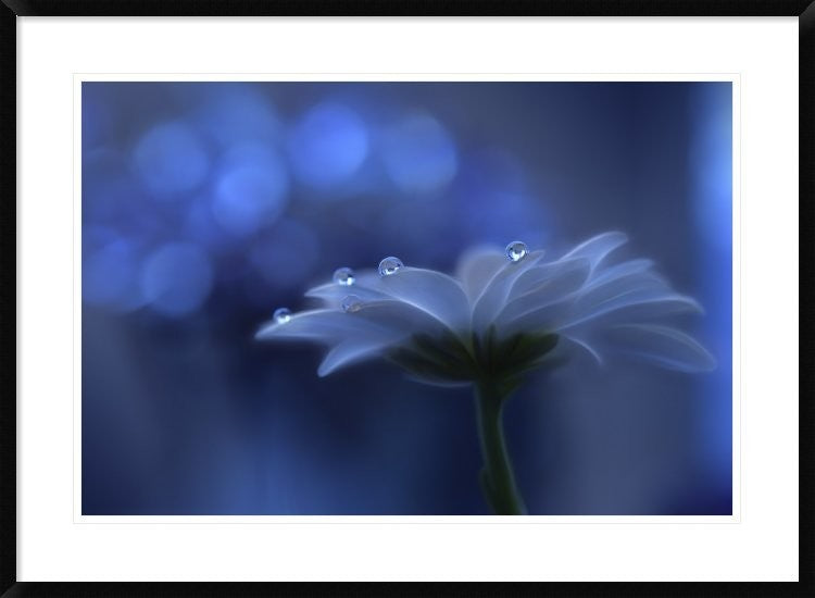 "Space Dreams" Framed Digital Print by Juliana Nan, 38"x28"