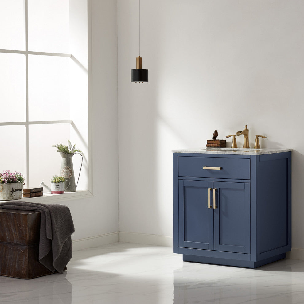 Ivy Bathroom Vanity Set, 30", Without Mirror