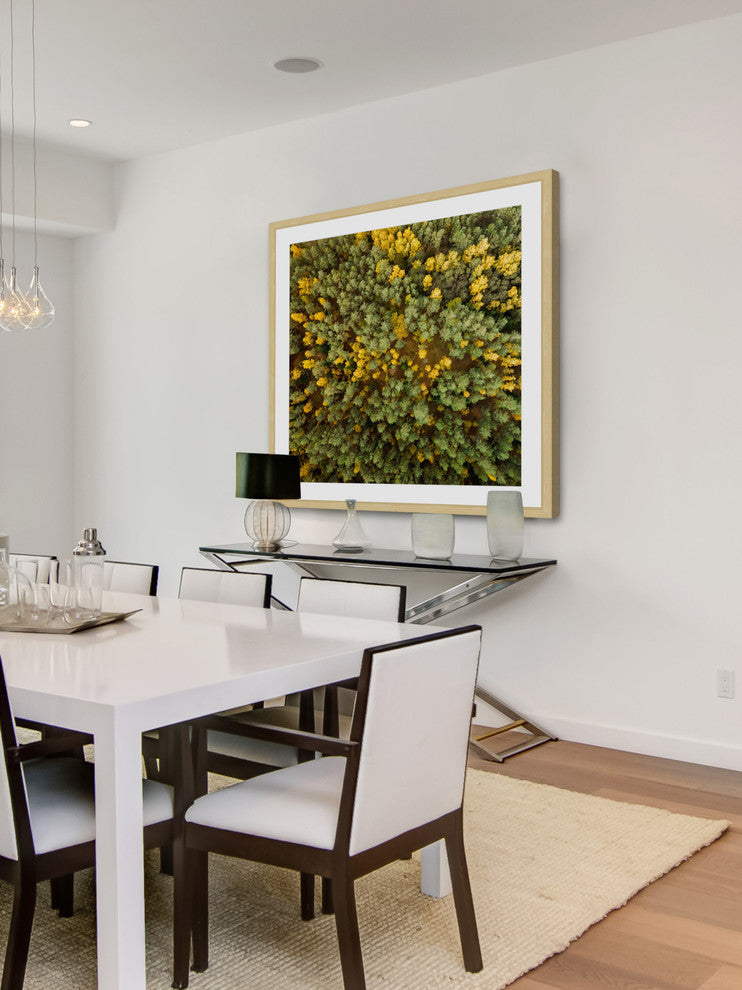 "Yellow and Green Trees" Framed Print by Karolis Janulis