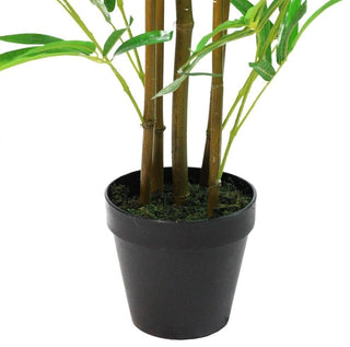 Close-up/ cropped view of stems and pot on white background.