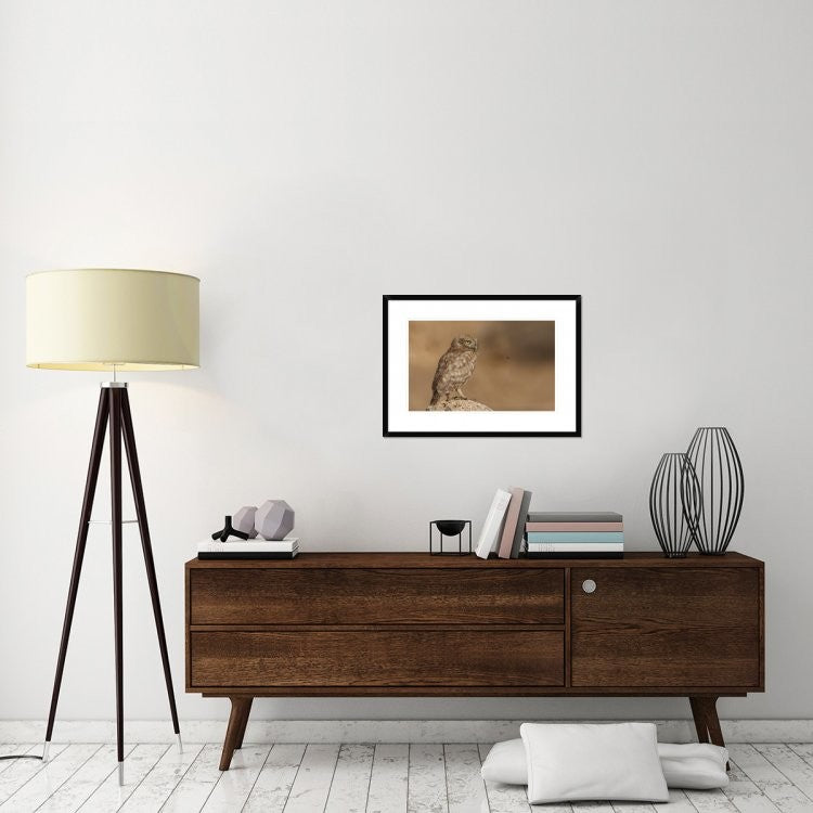 "Owl Vs Bee" Framed Digital Print by Assaf Gavra, 30x21"